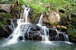 Waterfall in forest