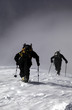 Alpinism
