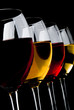 wine tasting