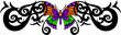 The butterfly with orange wings in the centre .