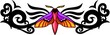 Moth with pink wings in the centre of a black pattern.