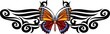 The butterfly with long feelers in the pattern centre.