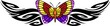 The butterfly with diversicolorous wings in the centre .