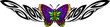 The butterfly with diversicolorous wings in the centre.