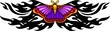 Moth with violet wings in the centre of a black pattern.