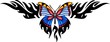 The butterfly with blue wings in the centre .