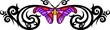 Moth with pink wings in the centre of black drawing.
