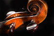 Violon