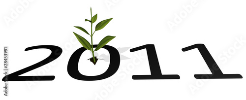 Illustration: 2011 New Growth 2011 New Growth