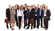 attractive business people - the elite business team