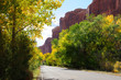 Jaycee Park and Poision Spider Mesa in Fall