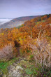 Herbst im Ahrtal