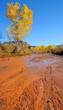 Desert Stream in Fall with Snowy Mountains