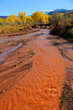 Desert Stream in Fall with Snowy Mountains
