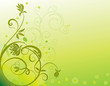 abstract flower Illustration vector spring summer green