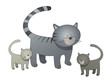Chat et ses chatons