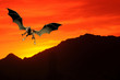 Sunset Dragon