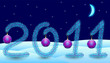 new year 2011