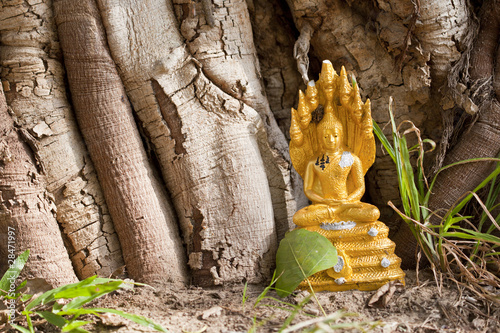 Photo: golden budha image under the tree golden budha image under the tree