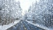 Straße im Winter - Video - Street and Snow