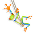 Vector: Little tree frog on a swing Little tree frog on a swing