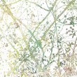 Tangled Blossom Branches Art Abstract Tangled Blossom Branches Art Abstract