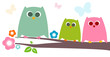 owls