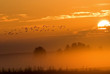 The sunrise