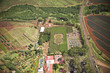 Dole Plantation