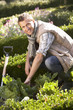 Young man working in garden