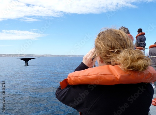 Foto: Whale Watching Whale Watching