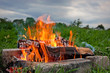 Fire in a fireplace