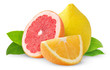 Citrus fruits