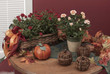 flowers and pumpkins flowers and pumpkins