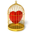 Heart in cage