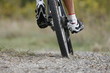 vtt