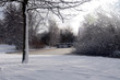 winter landscape Holland winter landscape Holland