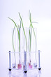 genetic engineering