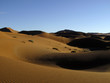 Dünenlandschaft