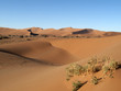 Dünenlandschaft