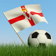 Soccer ball in the grass and flag of Northern Ireland. Soccer ball in the grass and flag of Northern Ireland.
