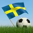 Soccer ball in the grass and flag of Sweden.