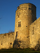 Chateau du roussillon
