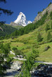 Wandern unterm Matterhorn