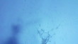 Splash water (2)