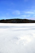 Winter landscape