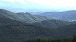 Forêt vosgienne
