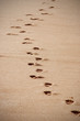 Fußspuren am Strand