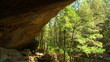 Cave and trees