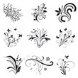 Set of floral design elements Set of floral design elements